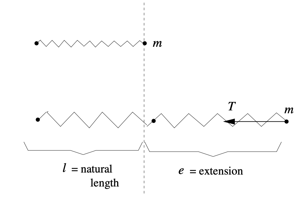 Hooke's Law